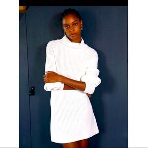 Aritzia Wilfred Montpellier Sweater Dress